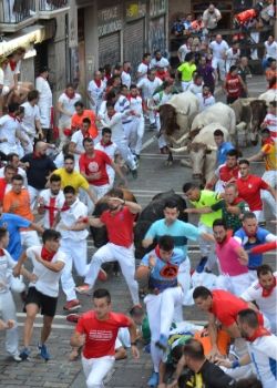 traveling steps running of the bulls