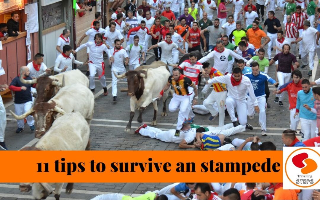 Try to survive the running of the bulls