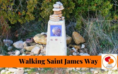 Walking the CAMINO will change your life