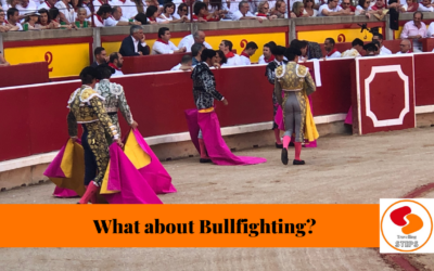The Bullfighting controversy.