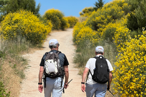 Camino tour puente la reina