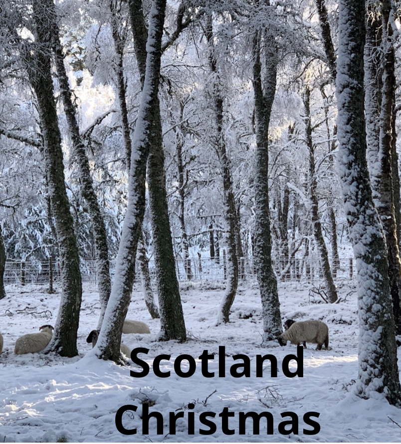 TS FECHAS PRODUCTO 804 x 891 Traveling steps staycation